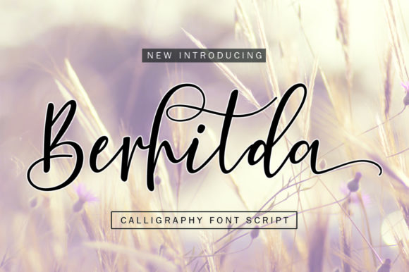 Berhilda: A Modern Calligraphy Font for Elegant Design