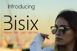 Bisex: A Modern, Minimalist Font for Every Project