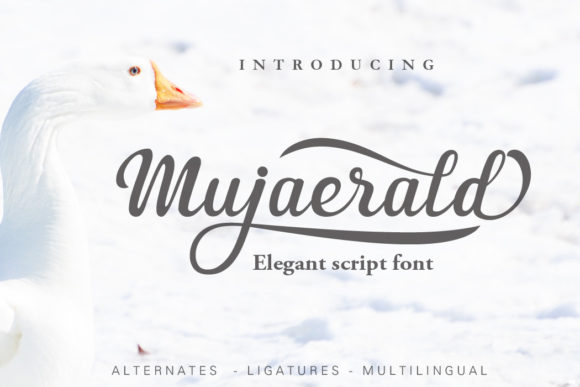 Exploring the Versatility of Mujaerald in Modern Design
