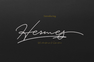 Hermes: A Signature Font for Professional and Creative Workflows