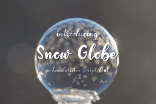 Snow Globe