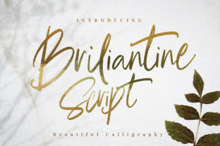 The Briliantine Script: A Stylish and Versatile Calligraphy Font for Modern Design